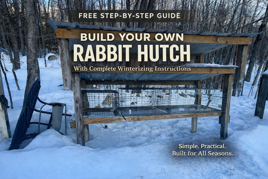 🐇 Build Your Own Rabbit Hutch – Step-by-Step Guide (With Winterizing Instructions)
